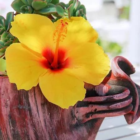 아파트호텔 Rigas 아다마스